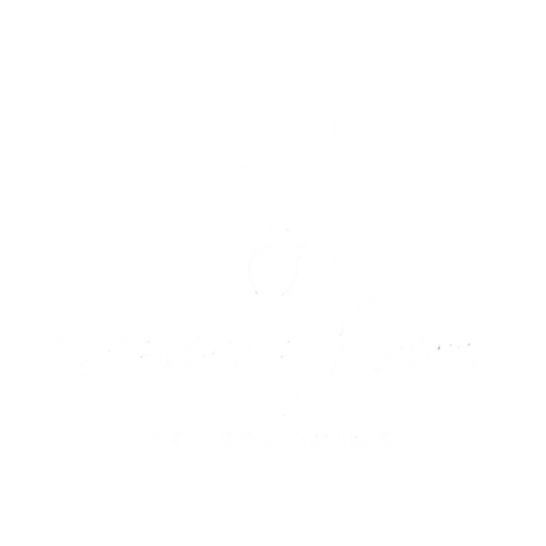 projektowanie logo strony internetowe Suwałki